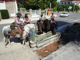 Agrandir cette image