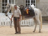 Parcours de Bernard