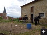 Agrandir cette image